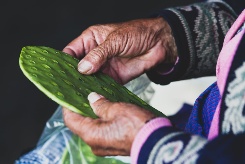 From Desert to Design: The Journey of Cactus to Boot