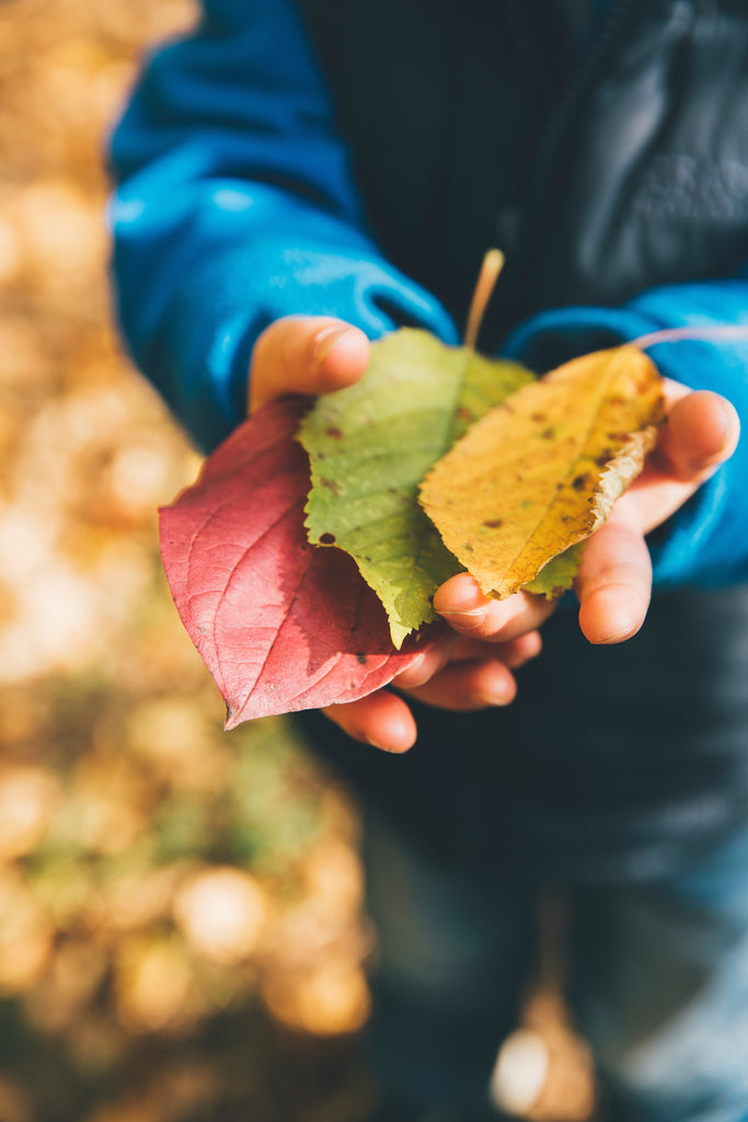 10 Fun Activities for Kids to Learn About Sustainability