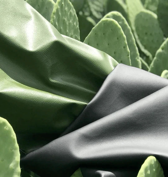 The Rise of Cactus Leather: A Sustainable Future for Footwear